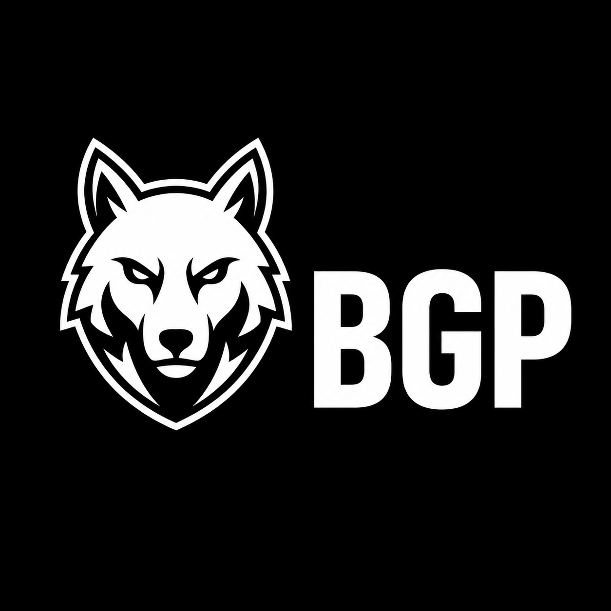 BGP Products